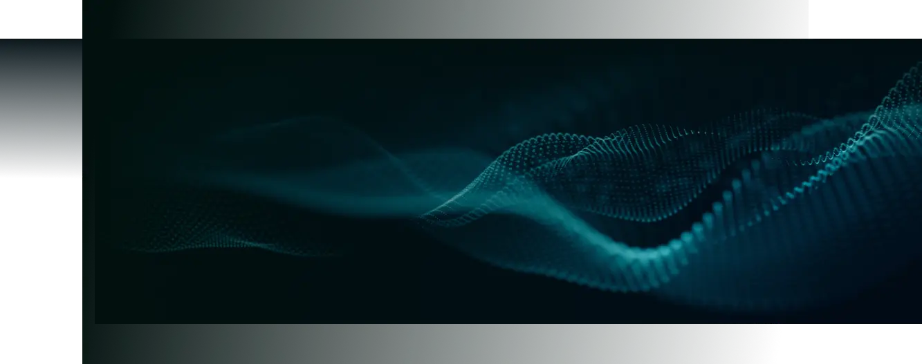 การประดับประดา